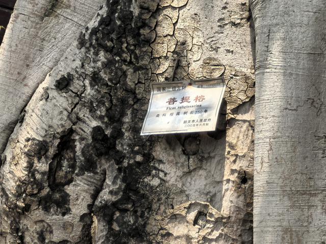 广东韶关南华寺游记