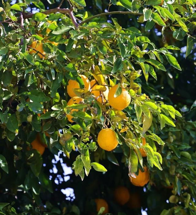 丹徒这几条路，真不想让太多人知道！