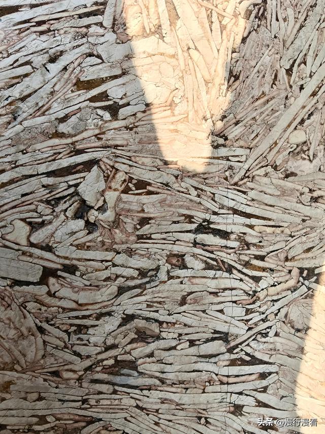 宁爬铁过门，不上玉皇顶？偏偏就上上玉皇顶