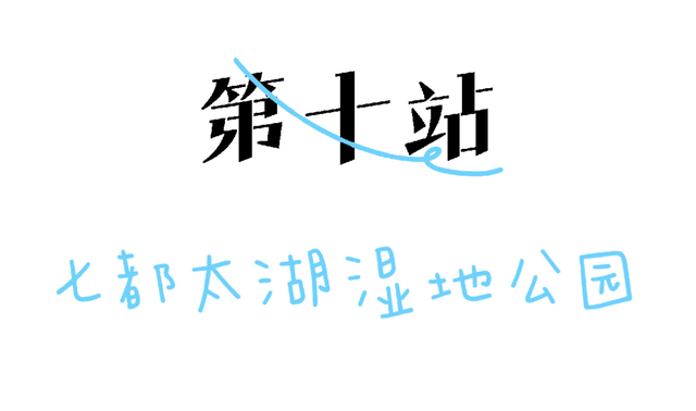 最全环太湖骑行路书来了！十大站点玩转醉美太湖！