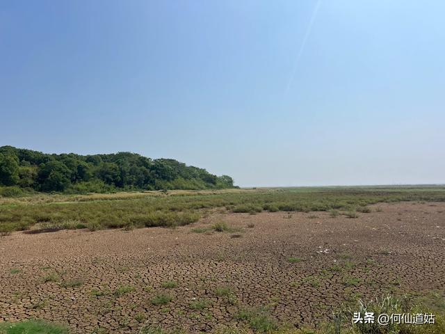 吴城“世界湿地，候鸟王国”