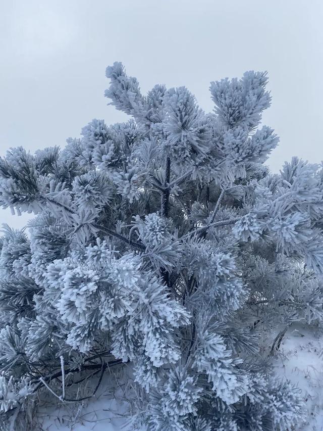 大雪暴雪	、中雨大雨要来了！