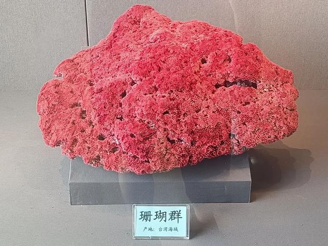 西安世博园珍宝博物馆