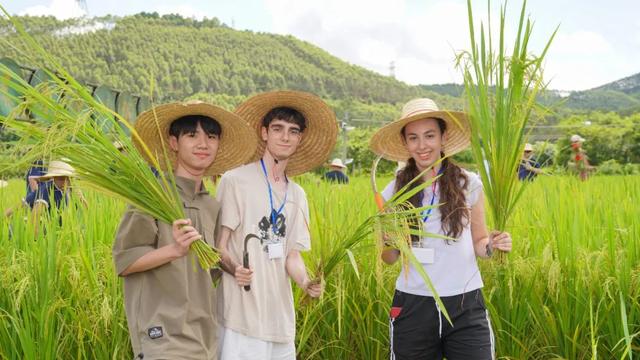 太惊喜！肇庆首届研学精品线路正式发布，每条都想打卡↘