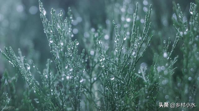 今日中元节，老人说最怕“中元节一日雨”，中元节下雨有啥预兆？