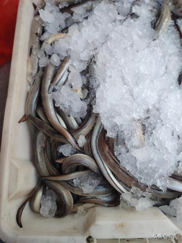 游记：名不经传的龙门镇
