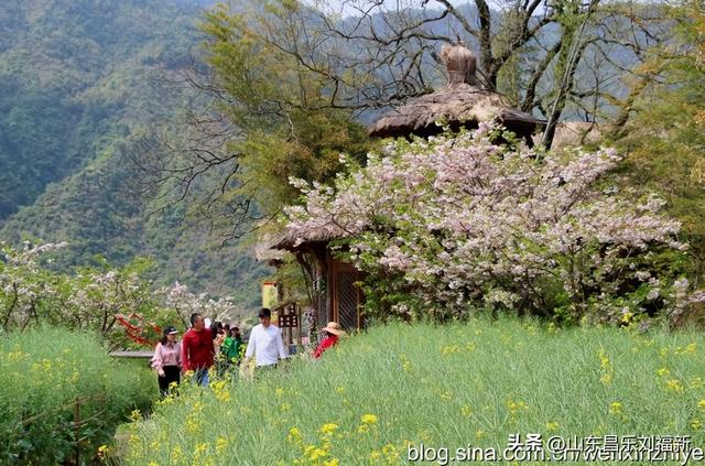 婺源篁岭旅游札记[三]（江西之旅第四十五篇）