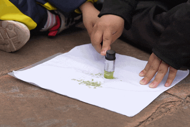 别卷作业了，卷卷大自然！韶关秋日研学，让娃成为朋友圈最酷的崽