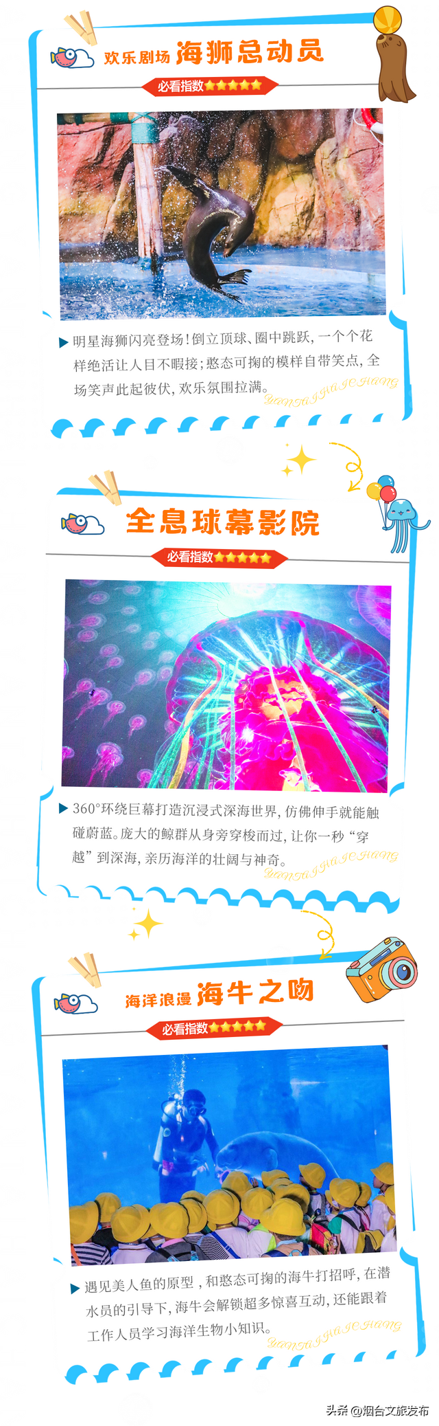 【乐游烟台】国庆去哪玩？一起潜入海底世界，嗨玩一整天！