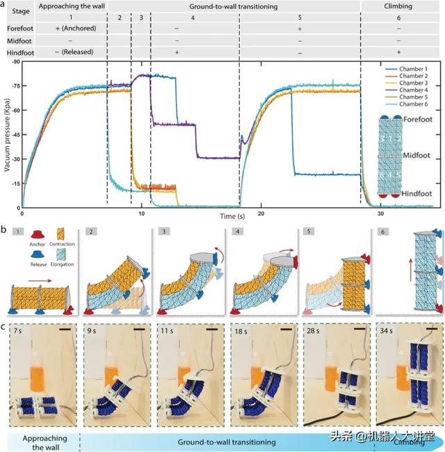 密歇根大学×上海交大联合研发SPARC，突破软体机器人天花板！