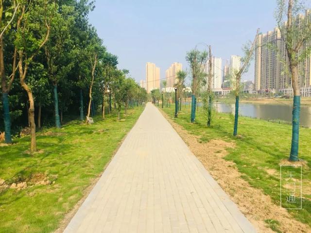黄河：天门的北湖公园