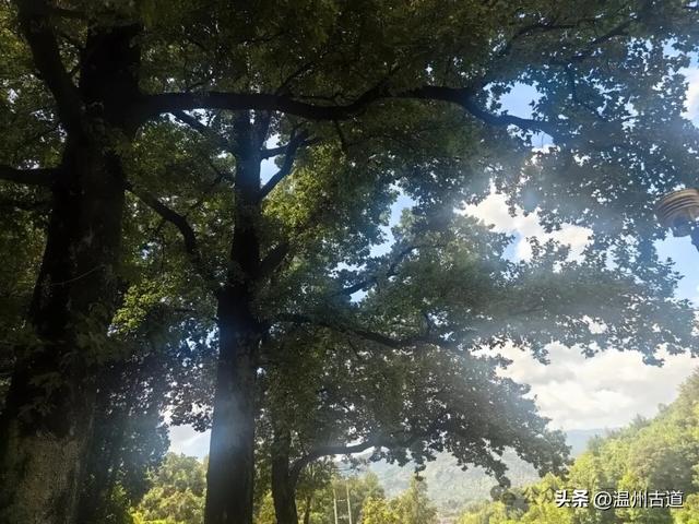 治愈系的湖光山色，皆在这片美丽的山水！