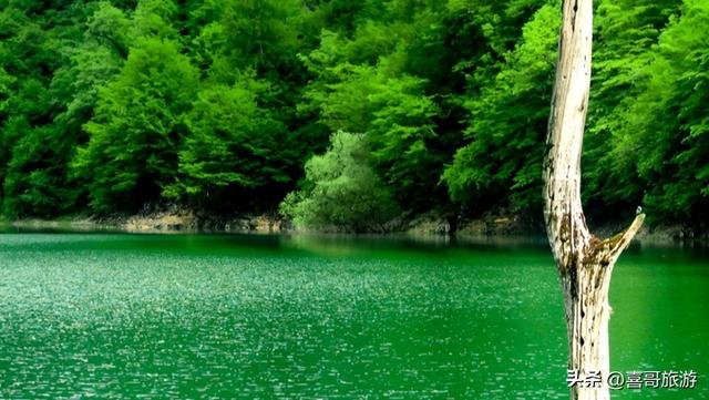 湖岗遗韵，飞鸟新流——兴凯湖新开流景区漫记