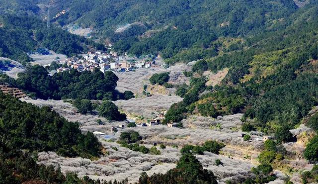 汕尾市多家景区发布闭园和跳岛游发布停航公告