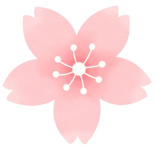 藏不住了！吴川这座桥繁“花”盛开