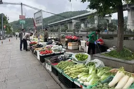 这个办法好！桐梓的摊摊儿“定点归位”了！图片