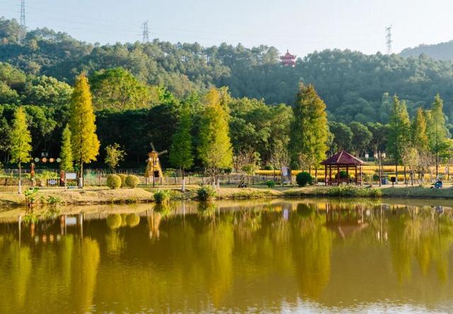 就现在，一起去南山公园遛弯~