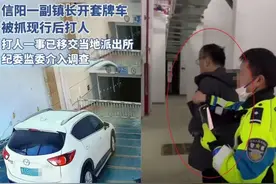 后续：信阳一副镇长开套牌车被抓现行后打人！身份曝光，官方回应图片