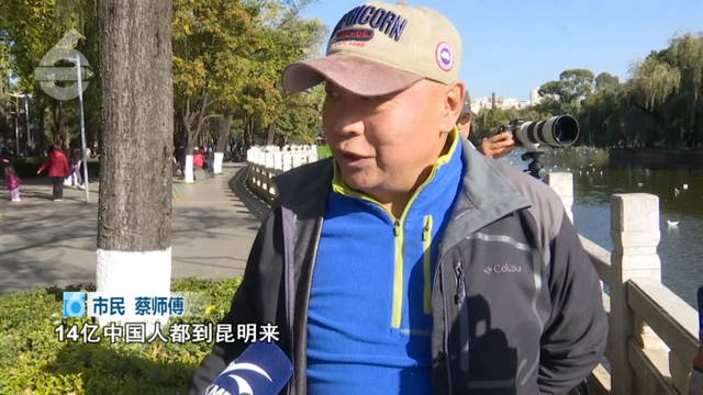 观鸥赏杏，冬天就要这么惬意！这些活动都排到明年了……