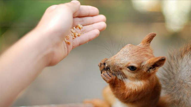 调查印度尼帕病毒病感染人士，吃惊发现：感染的人，有3大共性