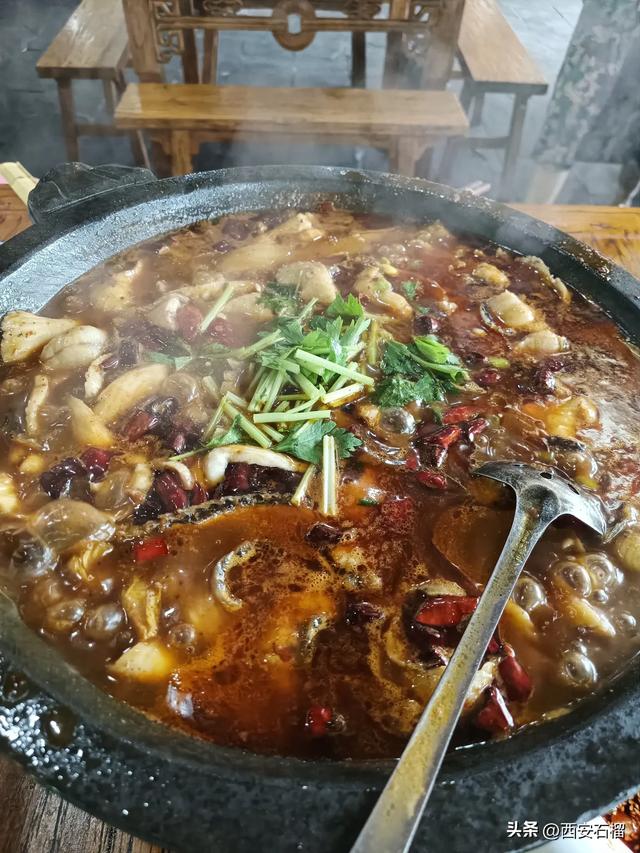 沣峪口吃鱼，偶遇子午服务区的游乐场