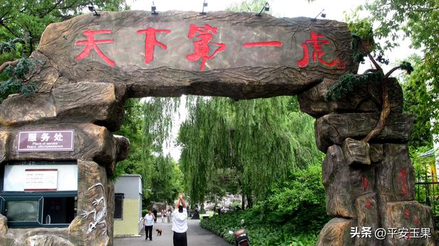 乌苏里江畔随行笔记