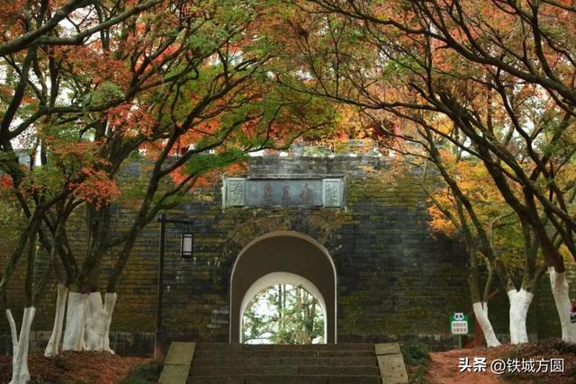 熙春公园——枫映古台 文脉流芳