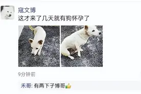 哈哈终于知道男生为什么不发朋友圈了 ​图片