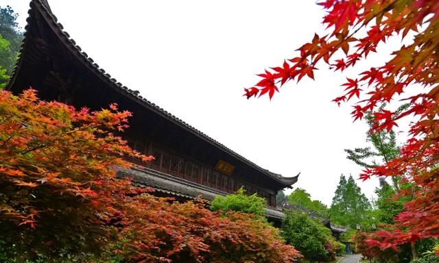 40条！浙江省名山公园精品线路发布