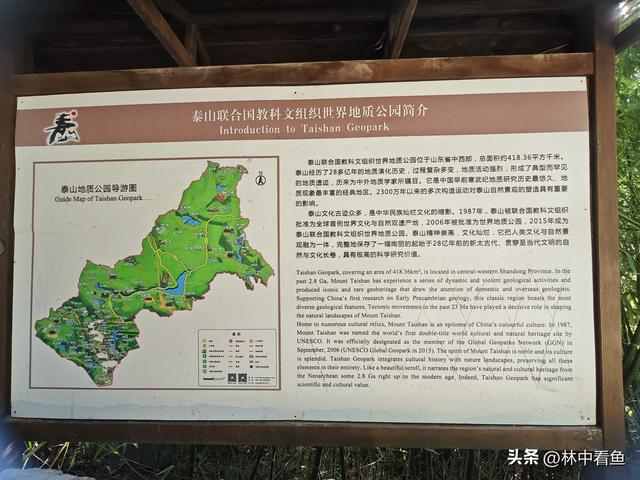 徒步登泰山之一——3小时从一天门到中天门