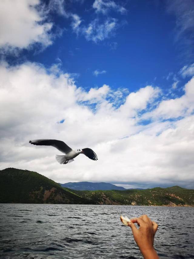 梦幻云南（五）：泸沽湖畔女儿国