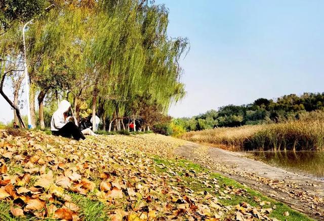 五彩斑斓的白龟湖国家湿地公园