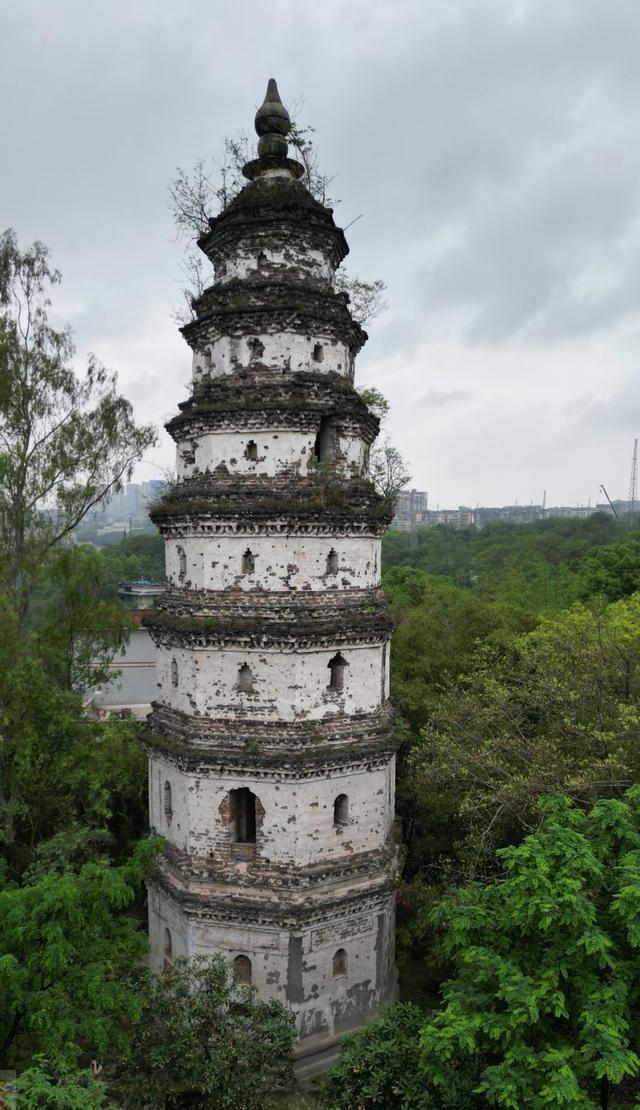 我是北京人，在四川泸州逛了几天	，憋不住想讲讲这趟行程的感受。