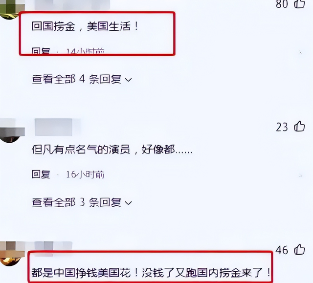 吃里扒外！定居美国13年，回国捞金惨遭“驱逐”，52岁活成了笑话