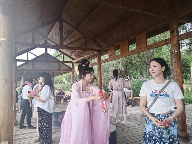 千亩荷塘 万人许愿‖2025年第九届鸣翠湖荷花节精彩启幕