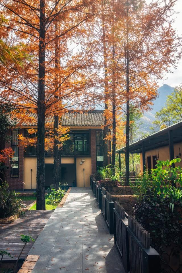 赏秋正当时!自驾来汉中,赴一场秋日视觉盛宴~