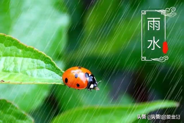 2026年春节放假通知已出，有4个好消息，1个坏消息，2个要注意