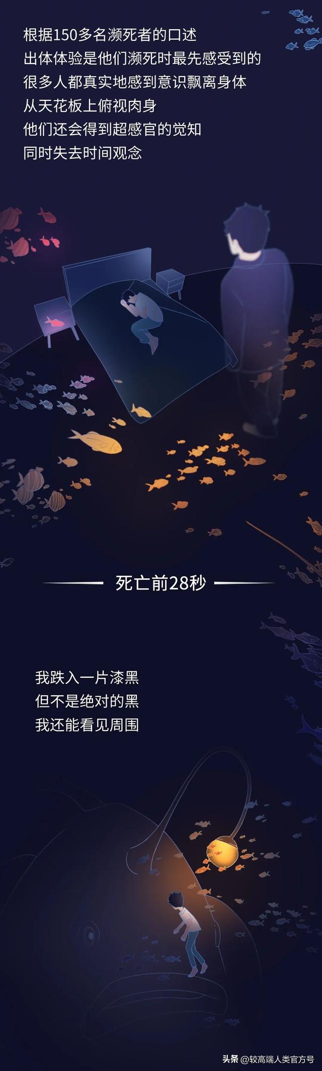 死亡前的30秒	，人会看见什么？