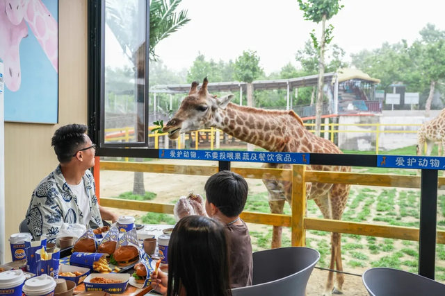 山东有自己的“疯狂动物城”！