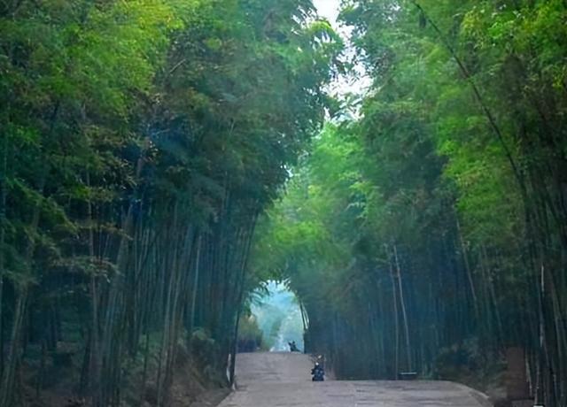 四川旅游：难忘宜宾长宁热气球赛采风行(图)