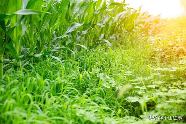 骑行圈变味记：风里飘的不是汗味，是铜臭与荷尔蒙