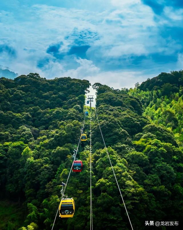龙岩周末去哪儿 | 秋意浓！带上家人一起登高、远眺~