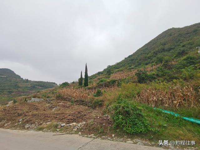 寻找一片僧人墓地，佛门高僧竟然最后落得尸骸无存