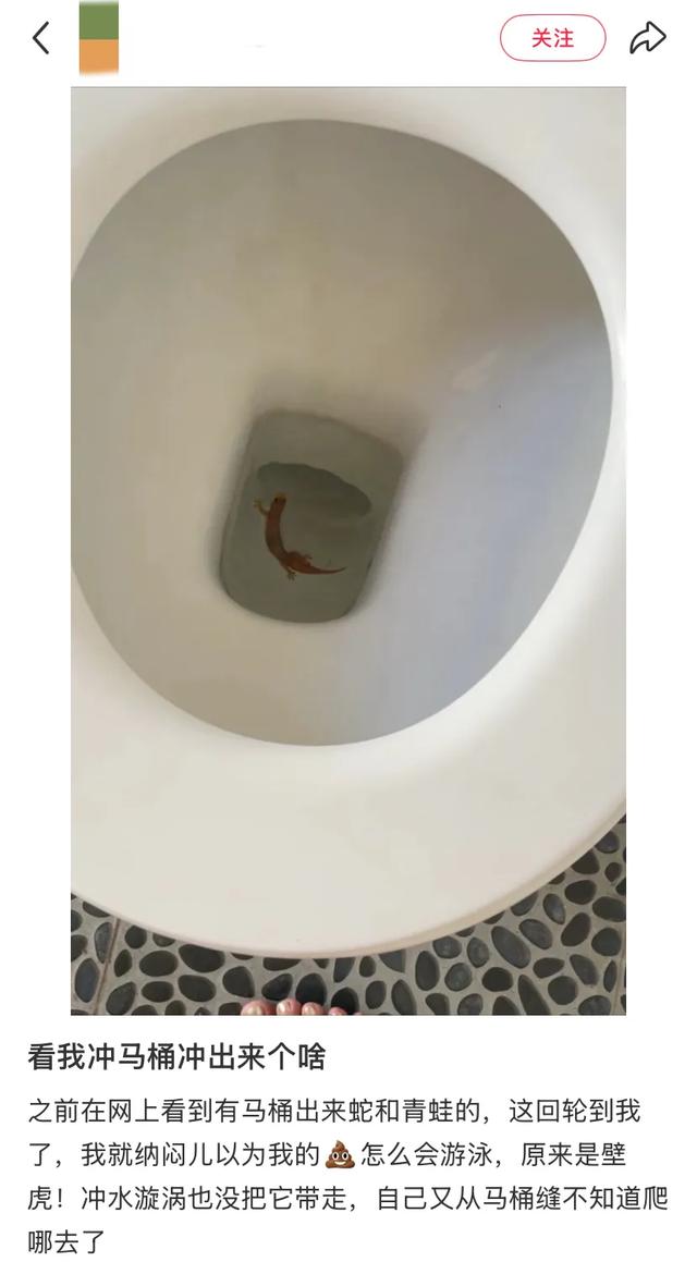 阻止我去巴厘岛旅游的唯一理由: