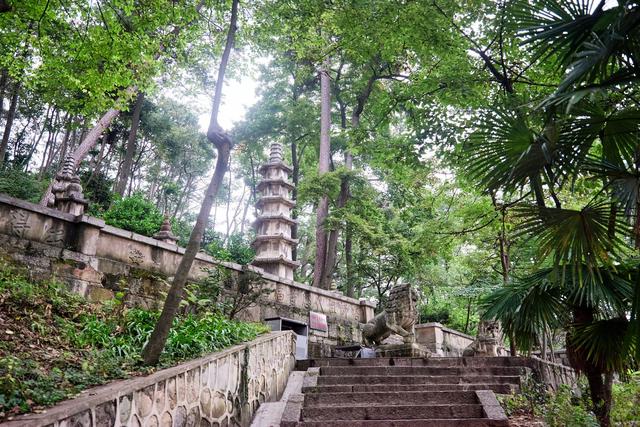 贵阳黔灵山公园，亲子游玩的好去处，这里有近距离撸猴的绝佳地点