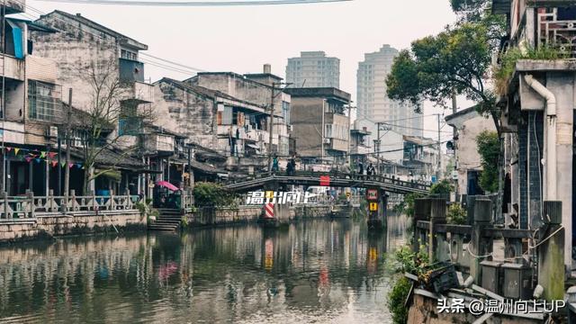 温州这座出土了众多国宝的“宝藏古镇”，能否成为下一个梧田老街