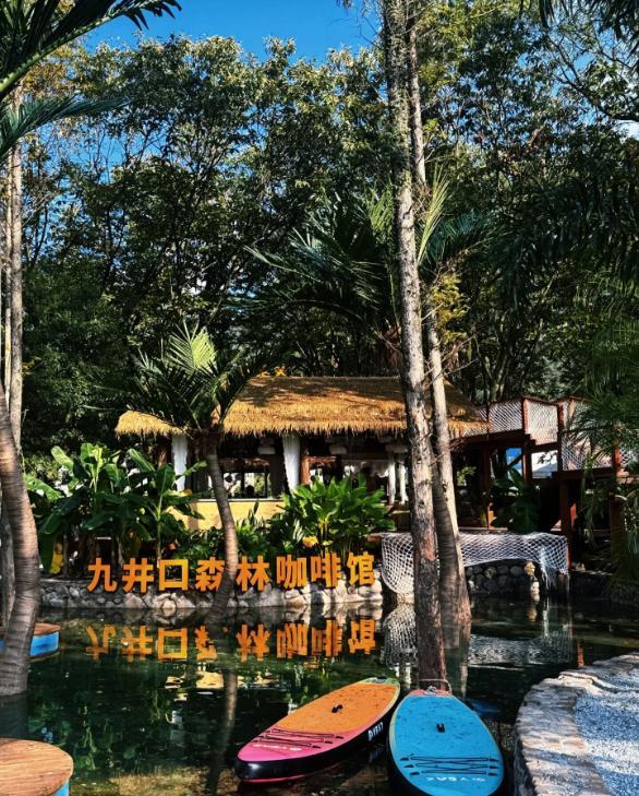 10月20日新闻联播点名！鹰潭沙湾村把森林咖啡馆玩出新花样，全攻略速存「全球学子嘉游赣 奇绝鹰潭逍遥游」