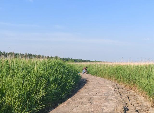 湿地、日出、星空、美食……来自这里的邀请函是否让你心动？