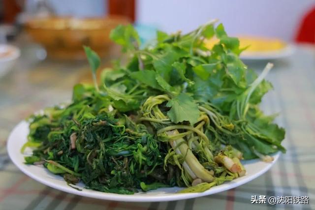 这三座新开高铁城市的打卡攻略来啦！