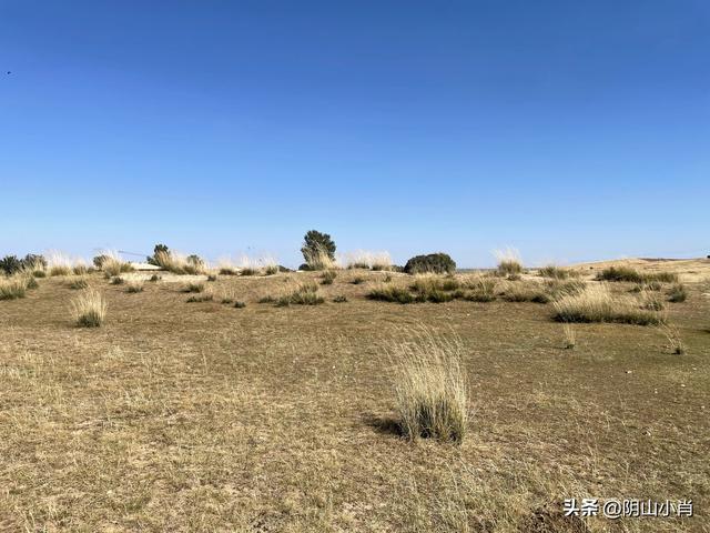 2025年国庆包头市达茂联合旗境内访古记